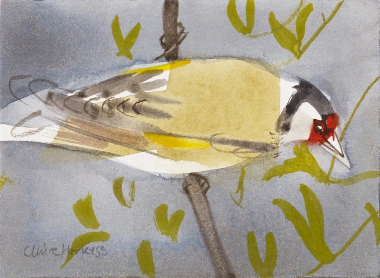 Claire Harkess RSW RGI - Garden Flock: Goldfinch