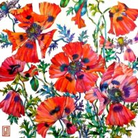 Sofia Perina-Miller Red Poppies