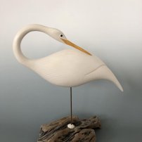 Michael Lythgoe Preening Egret