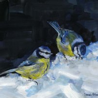 Sonas Maclean Snow Birds